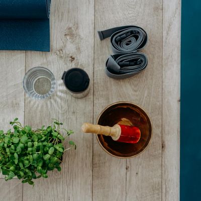 Green plants in a minimalist yoga studio corner.