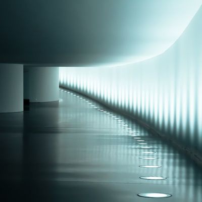 Soft light reflecting on a smooth studio floor.